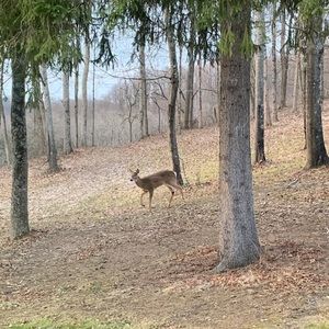 Meet your Posher, Jodi